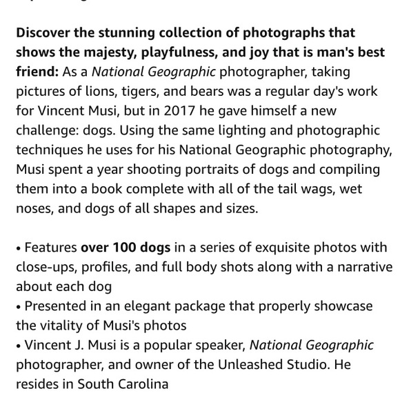 Perfect for all dog lovers! NEW! - Picture 8 of 8